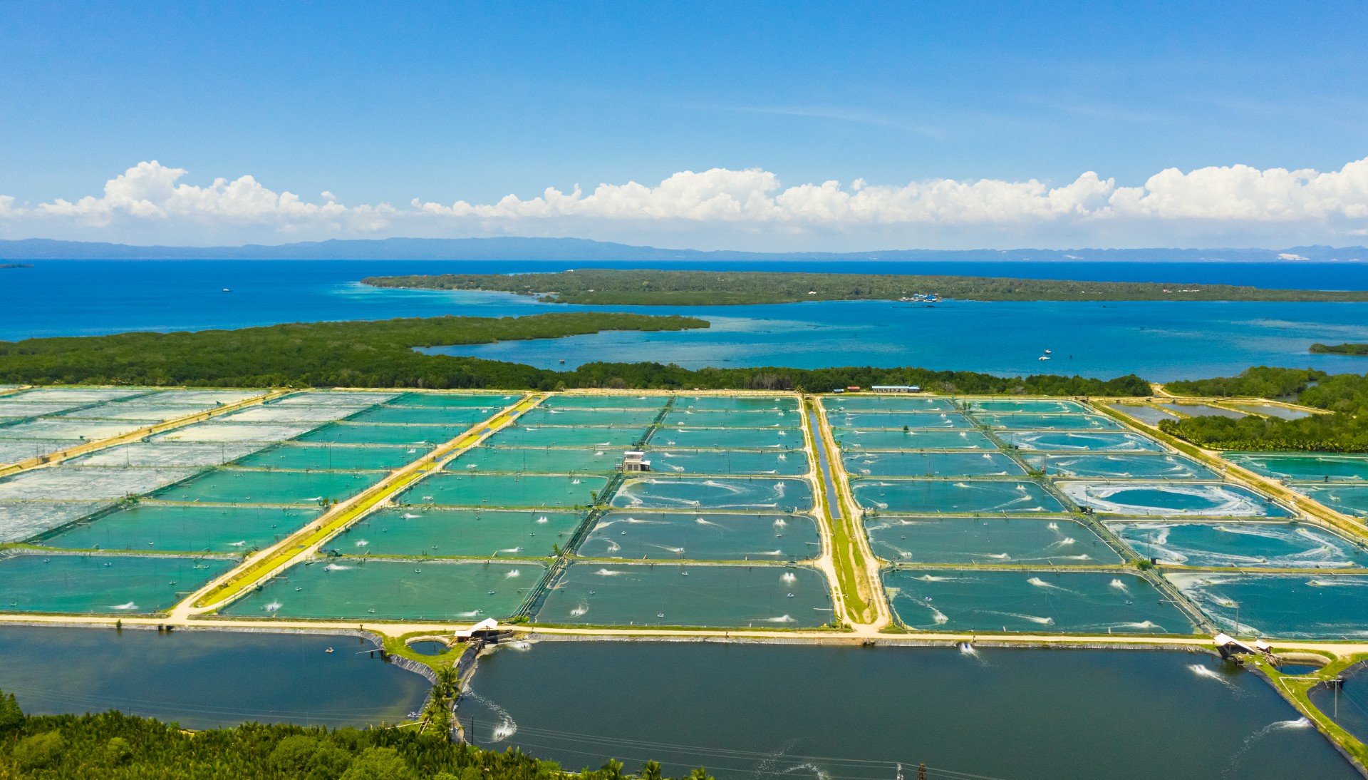 农村污水一体化污水处理方案有哪些? 农村污水一体化污水处理方案有哪些?